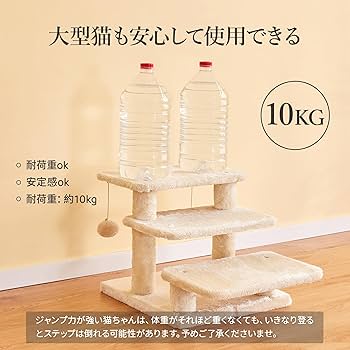 Amazon | Mwpoシニア ジャンプの苦手な猫ちゃん ワンちゃんに登り